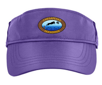 CDD Performance Visor