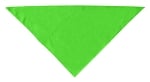 Custom Team Dog Bandana