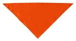 Custom Team Dog Bandana