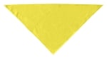 Custom Team Dog Bandana