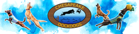 Dock Diving Dock End Banner