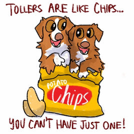 Tollers are Like Chips CHASE Fundraiser