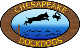 Chesapeake DockDogs