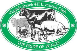 Virginia Beach 4-H Livestock Club