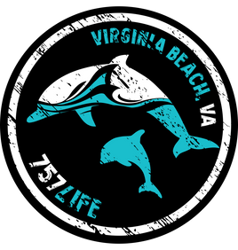 Virginia Beach Dolphins