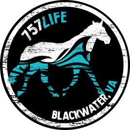 Blackwater Horse