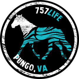 Pungo Horse