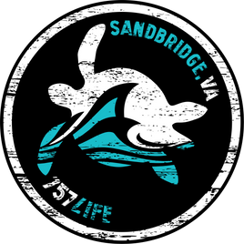 Sandbridge Turtle