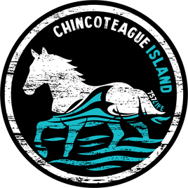 Chincoteague Island