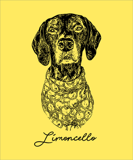 Limoncello's Retirement Tribute Collection