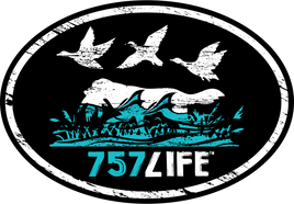 757LIFE: Bird Dog