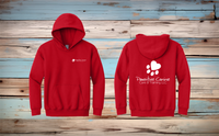 PCC&T Youth Pullover Hoodie