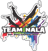 Custom Team Car Magnet