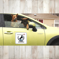Custom Team Car Magnet