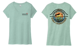 CDDWC25 Ladies' V-Neck  Triblend Tee