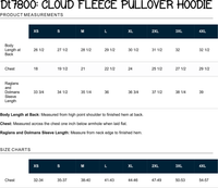 SMDD L2NL Cloud Fleece Pullover Hoodie