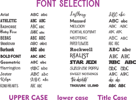 SCDDWC25 Crewneck Sweatshirt