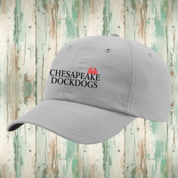 CDD Performance Ball Cap