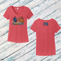 Pawsuit of the Scent Ladies' Triblend V-Neck Tee