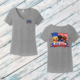 Pawsuit of Treats Ladies' Triblend V-Neck Tee