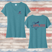 LSDD Ladies' Triblend V-Neck Tee