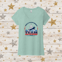 LSDDWC26 Ladies' Triblend V-Neck Tee