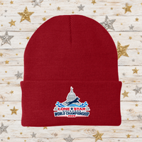LSDDWC26 Cuffed Beanie