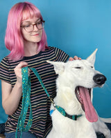 8/22: Pet Projects Day!