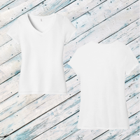 Pawsuit of Agility Ladies' Triblend V-Neck Tee