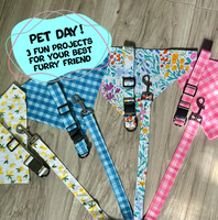 6/28: Pet Projects Day!