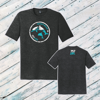 Virginia Beach Dolphins Triblend Short Sleeve Tee