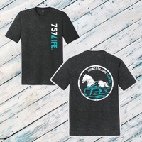 Chincoteague Island Triblend Short Sleeve Tee