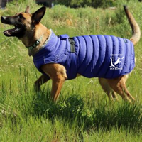 Copy of KYDD WC22 Dog Puffer Coat